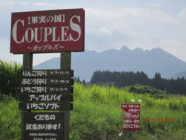 ���ԏ�50����x���p�ӂ��Ă���܂��I�C��t���Ă��z������������