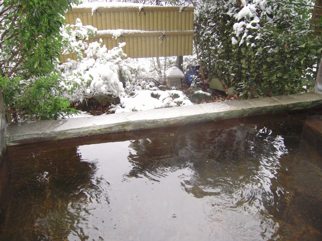 �ጩ�̘I�V���C�̓���