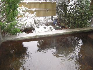 雪見の露天風呂の日も