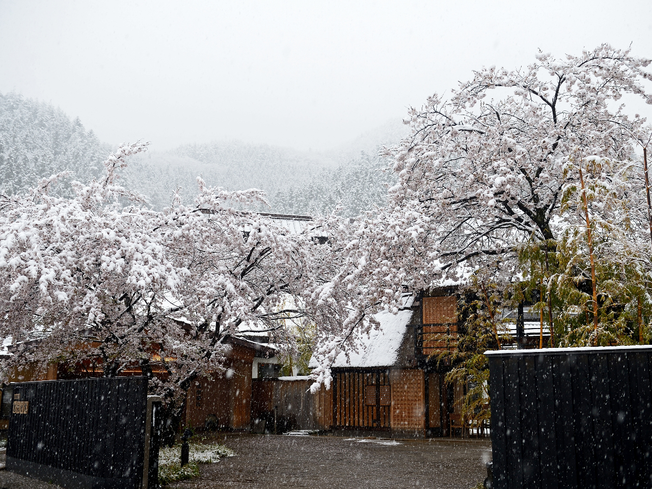 冬の長屋門(雪の日)