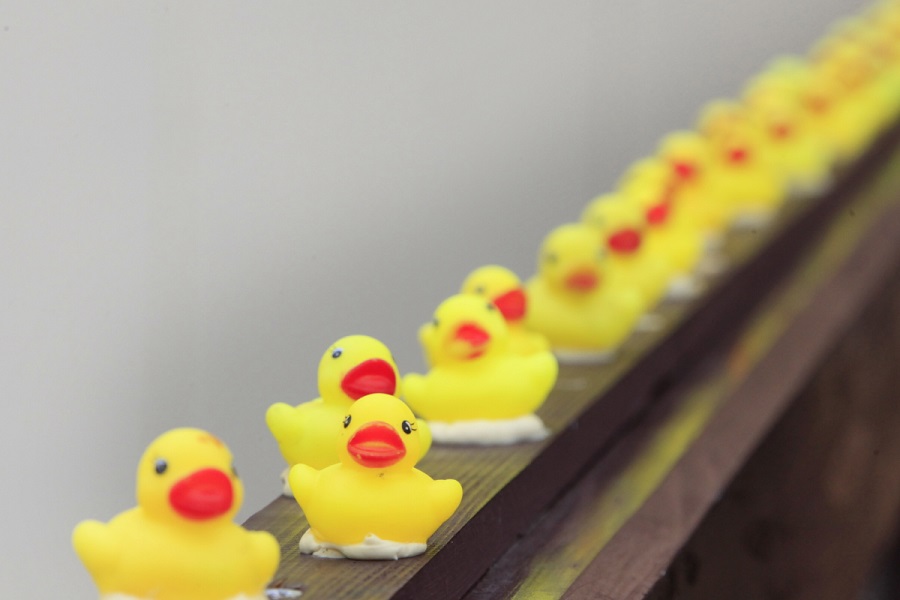 �^���悯��Γ��D�ɕ����ԃA�q���ɍ����邩����i�����͗v�⍇���j