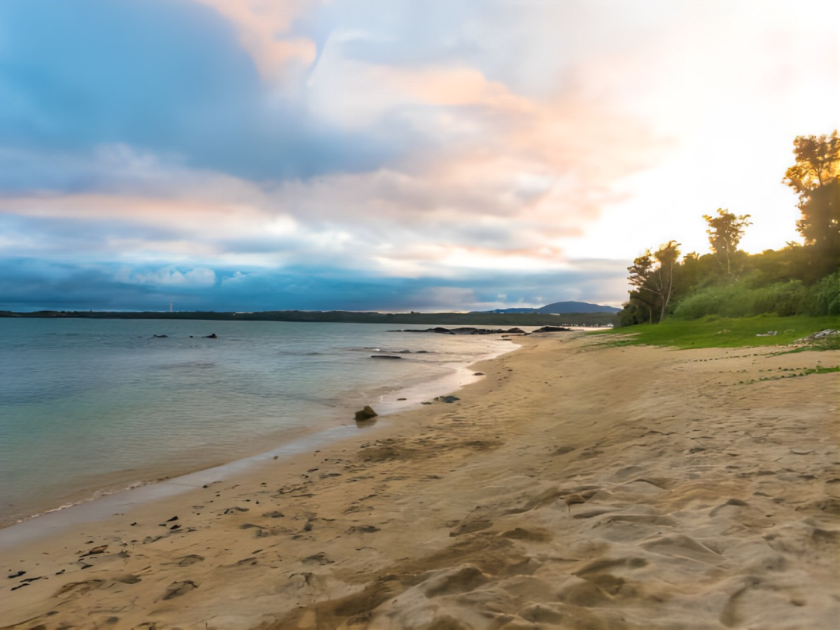 ����̊C�𖞋i�I