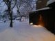 冬の中庭