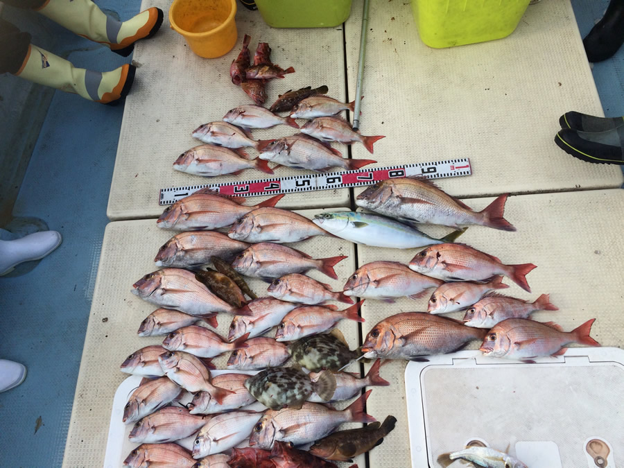 天草遠征 じゃらん限定 特典付 テンヤ タイラバで狙う根魚 真鯛釣り 無料道具レンタルあり 乗合いで3名より出船 Little One じゃらん遊び体験 天草遠征 じゃらん限定 特典付 テンヤ タイラバで狙う根魚 真鯛釣り 無料道具レンタルあり 乗合いで3名より出船 Little One じゃらん遊び体験