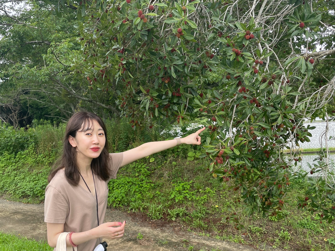 ΔȃlC`[KChŗlXȐA𔭌I