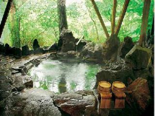 6種類の天然温泉内湯と露天風呂を無料貸切
眼下に小川や原生林を見渡せる大岩風呂
10人は入れる広々露天をお二人で無料貸切。