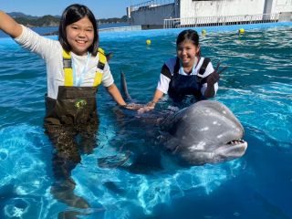 地域共通クーポン対象 あなたの指示でイルカがジャンプ 浅瀬でトレーナー体験 ファミリー カップル 女性にオススメ ドルフィンリゾート じゃらん遊び体験 地域共通クーポン対象 あなたの指示でイルカがジャンプ 浅瀬でトレーナー体験 ファミリー カップル 女性にオススメ ドルフィンリゾート じゃらん遊び体験