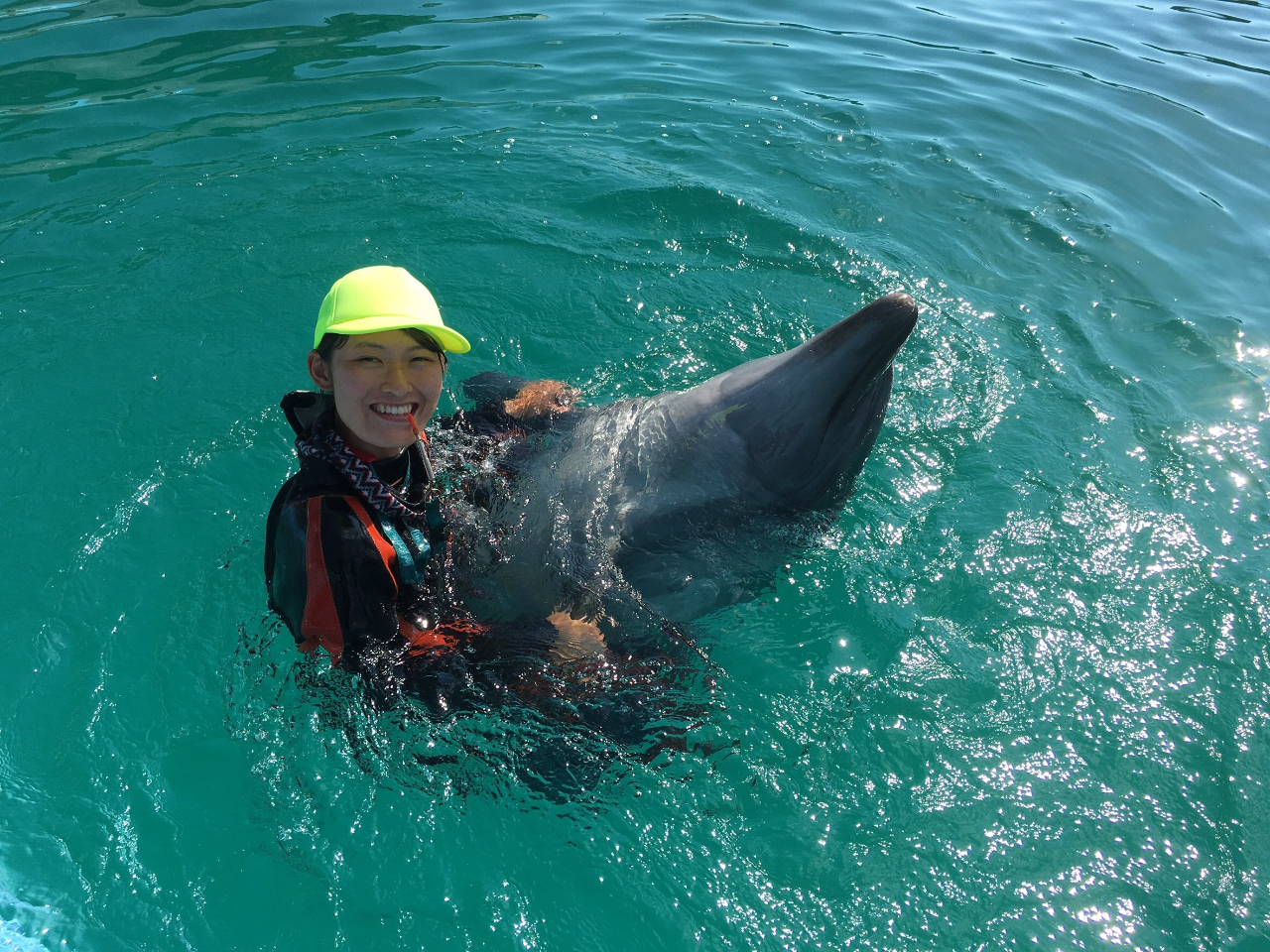 地域共通クーポン対象 短時間でイルカを満喫したい方におすすめ イルカとエクササイズ ファミリー カップル 女性にオススメ ドルフィンリゾート じゃらん遊び体験