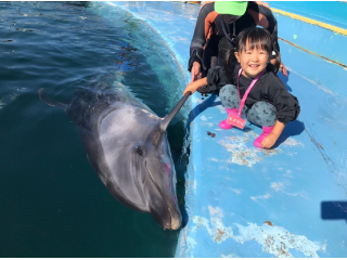 【じゃらん冬セール】【地域共通クーポン対象】お子様にもオススメ!イルカに餌やり体験(何歳からでも参加OK)☆ファミリー・カップル・女性にオススメ☆