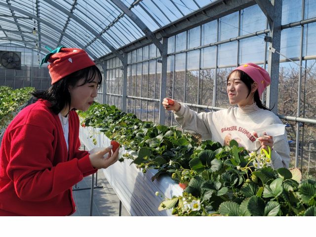 食べたら 自然に 『ん~っ!!』てなる 声にならない 美味しさの波が押し寄せます(*^^*) 是非 ご予約くださいませ(*^^*)