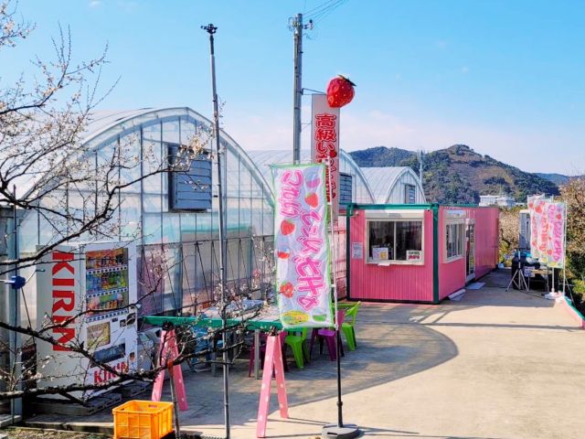 2月は梅の花見、3月は、さくらの花見が楽しめます(*^^*)お車は バックで駐車。お願い致します。