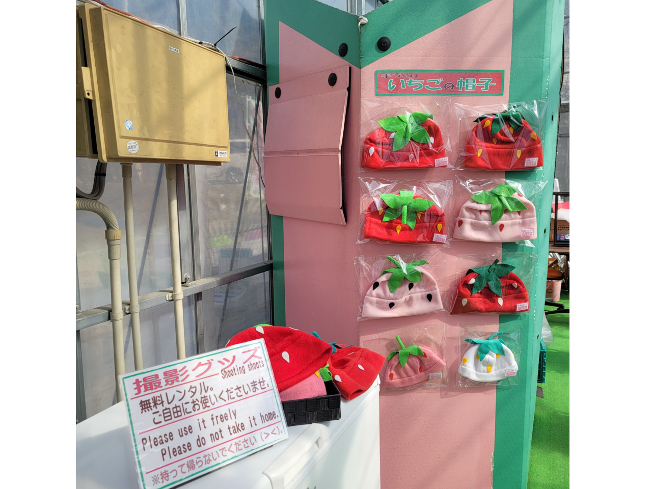 ̂XqObY𖳗őݏoXqԂāA̖`Let's Go(*^^*)