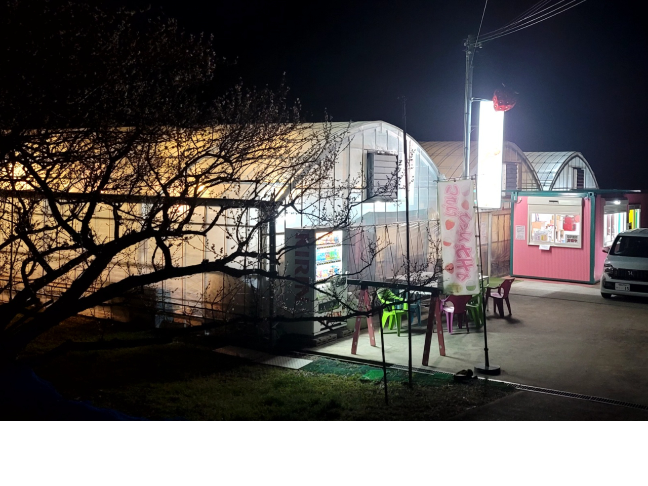 �O�ς͂���Ȋ����ł��B�C��t���Ă��z����������