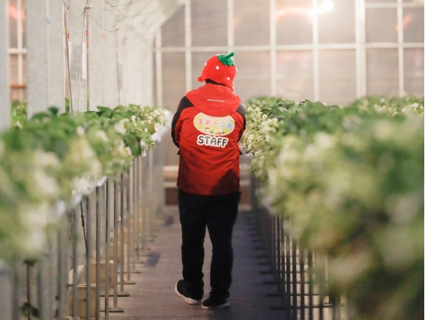 ���z�I�ȁA��Ԃ��@�w�݂��؂�x�Ŋ��\�ł��܂�(*^^*)