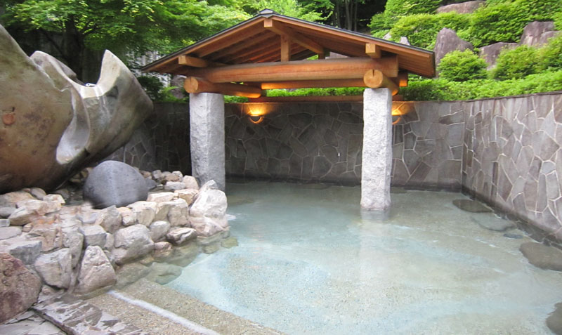 【南飛騨☆天然温泉】豊かな自然の中でゆったりリラックス入浴プラン