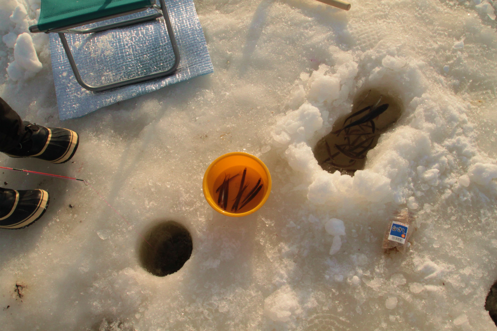 JTM@ʁ@ނ鎞́ATOC炢