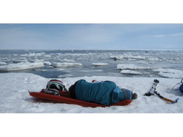 流氷を見ながら…