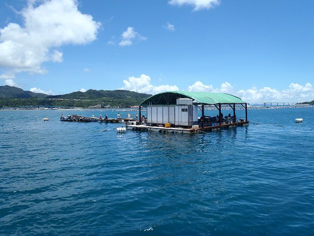本部釣りイカダ イカダ釣り 日中釣り 海生活 じゃらん遊び体験 本部釣りイカダ イカダ釣り 日中釣り 海生活 じゃらん遊び体験