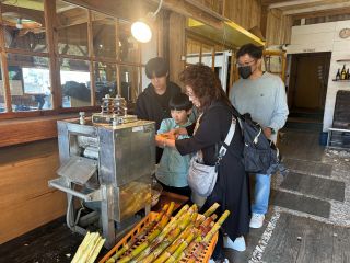 ドキドキの搾汁タイム!