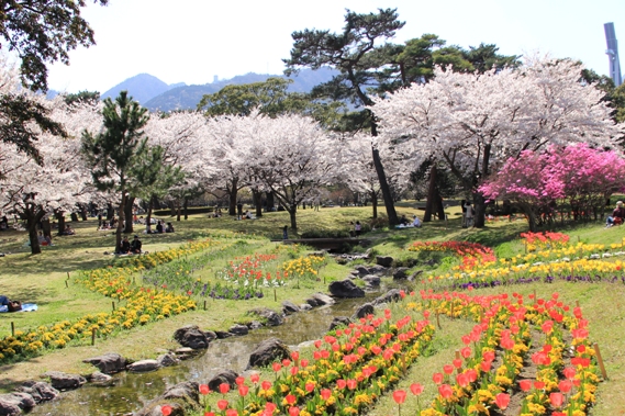 ʕ{
G߂ɂėlXȉԂ炫܂B