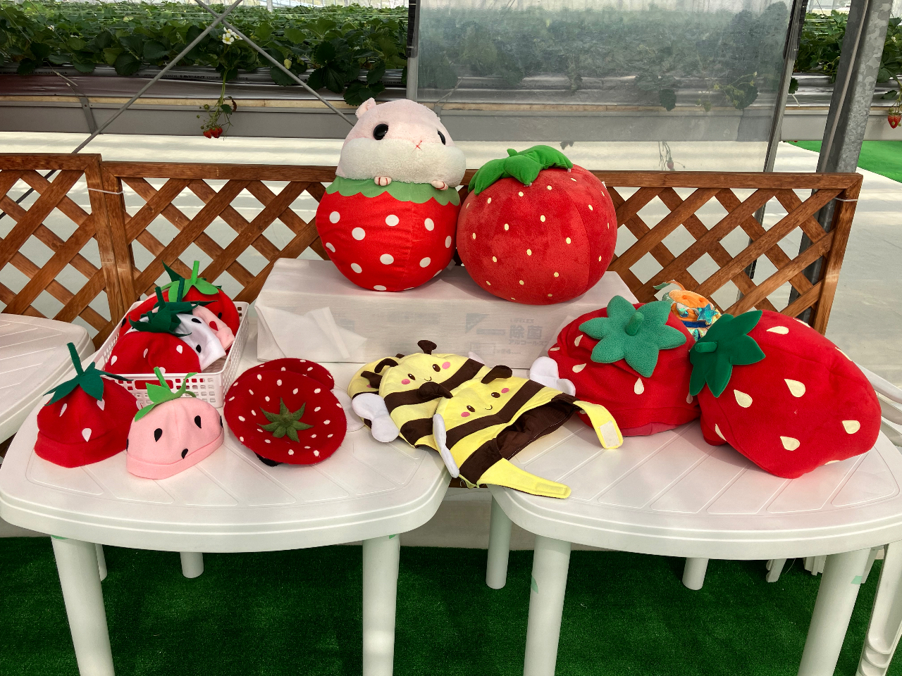 ̔蕨Ȃǂ܂IfGȎʐ^Ŏvo肵܂傤