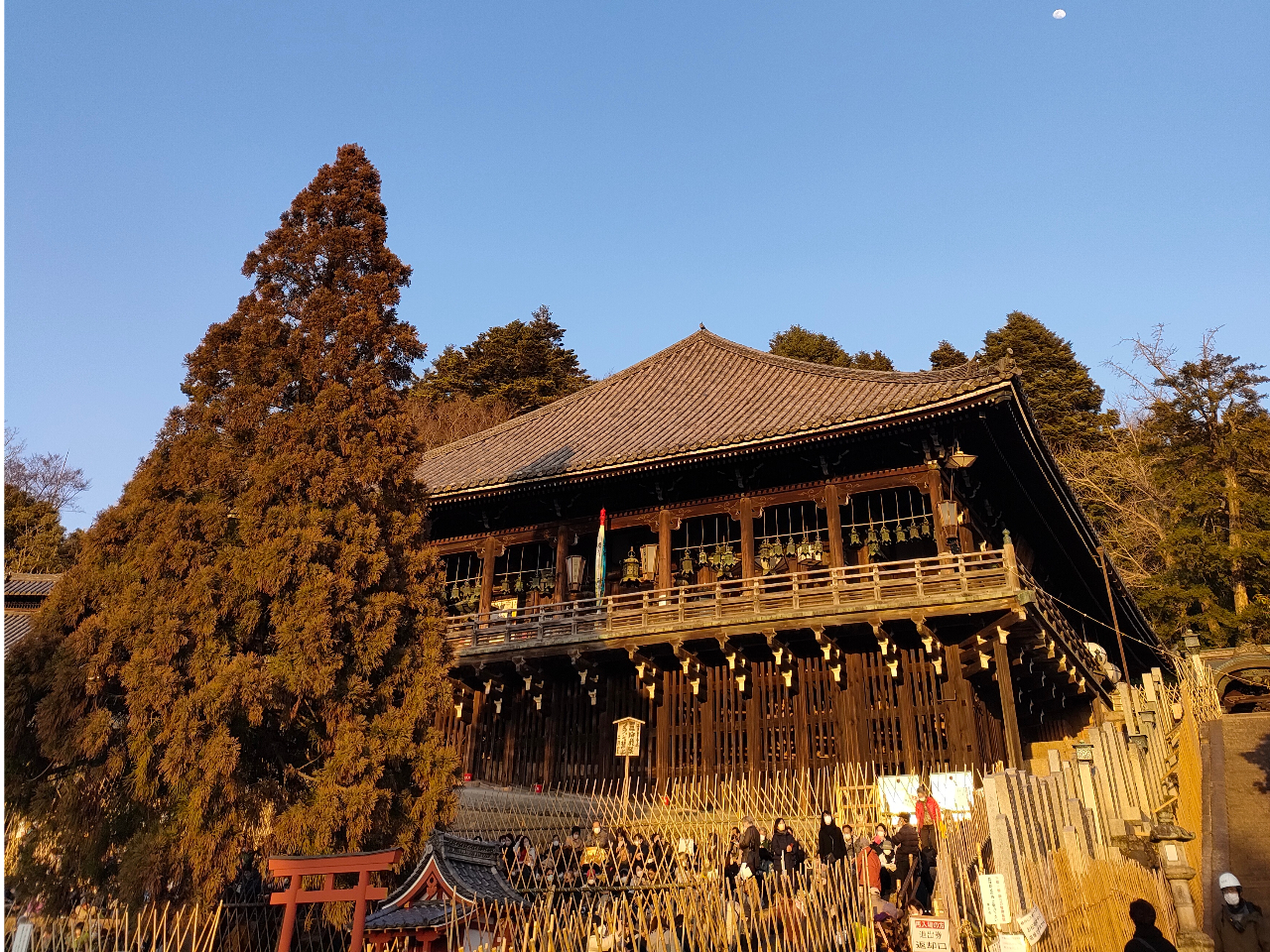 y厛񌎓z]ˎČ̂B䂩̒߂ōI