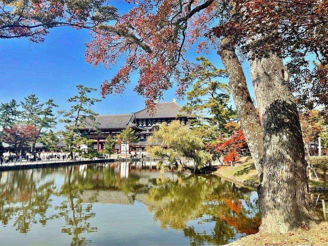 鏡池ごしの大仏殿は奈良を代表する景観です。記念撮影におすすめのスポットです!