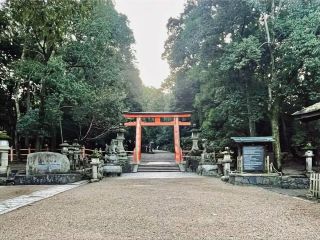 午前6時半に撮影した春日大社です。