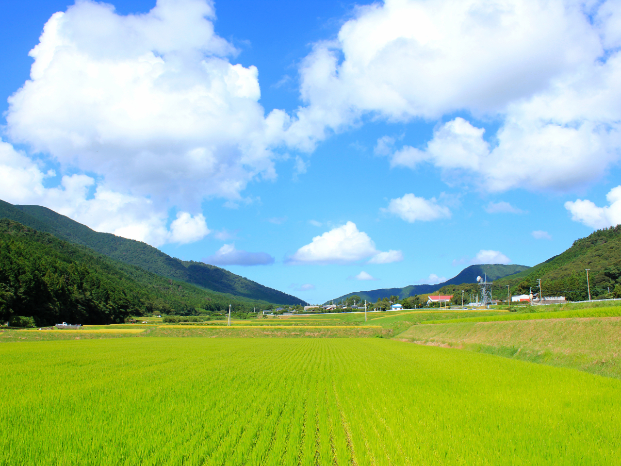 ȐȂ̂ɋ󂪂ƂĂLAĴ鎩RLȃP[VX̖͂̂ЂƂ