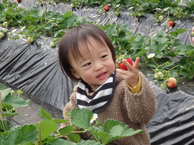 おっきいな!