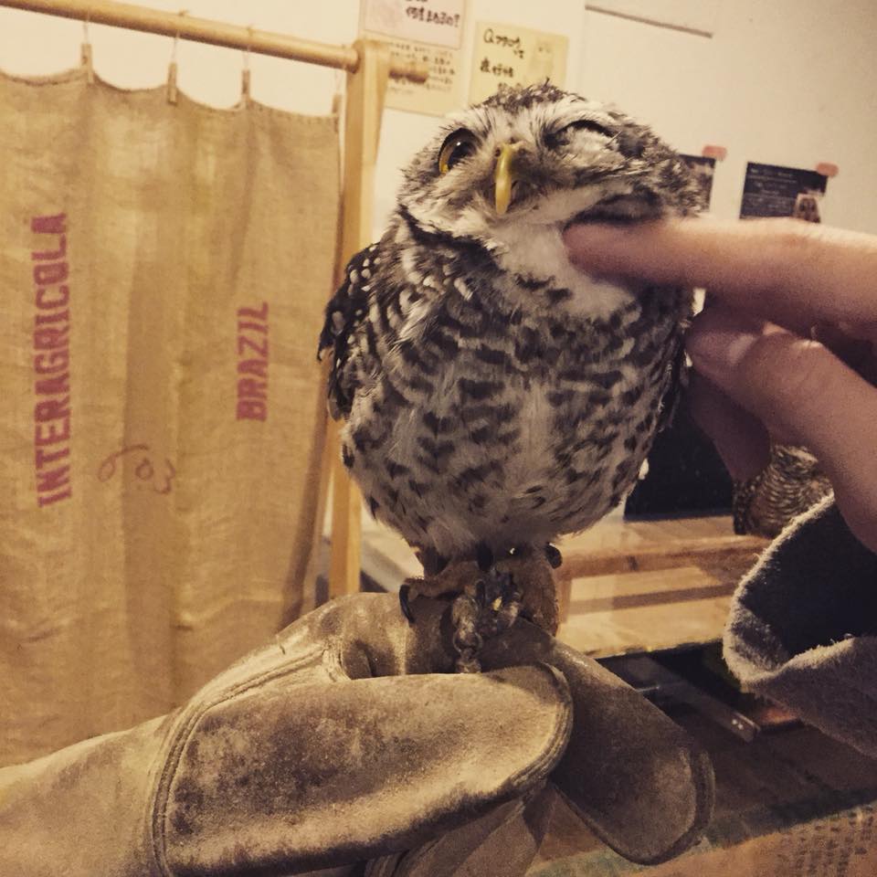 ̕TCŶȃtNÊłqlły߂܂B