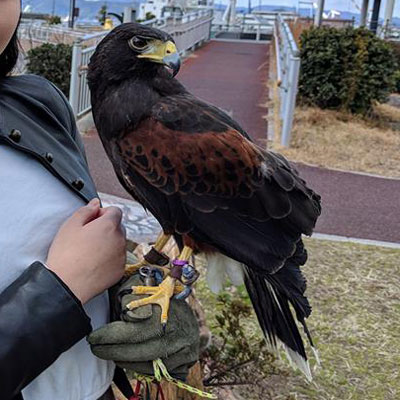 ̑鏠̌Iɂ̂ĐG邱Ƃł܂B