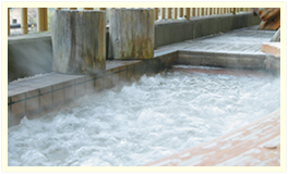 当温泉の湯は、特に肌によく「美人の湯」と言われています