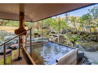 七種の湯が日本庭園の中に見事に配置され、温泉を散策するような野趣あふれる庭園露天風呂です。