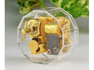 12角形透明ケース。動きが見えるので人気があります。