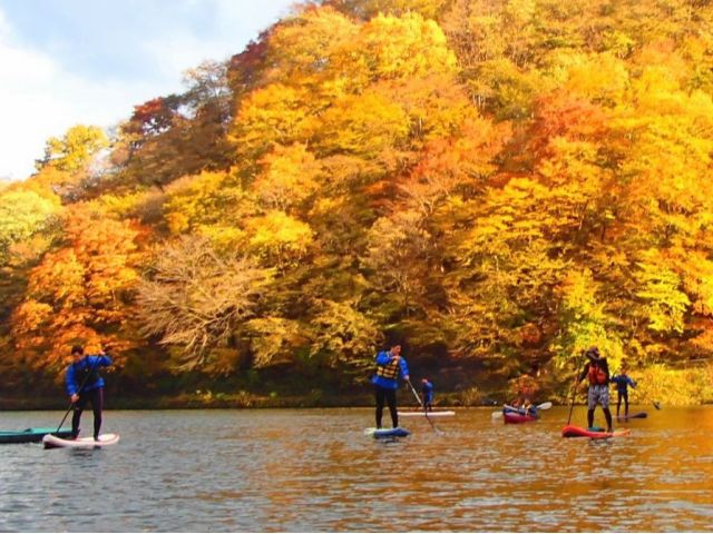 季節の彩り〜美しい風景を味わう水上の旅へ〜