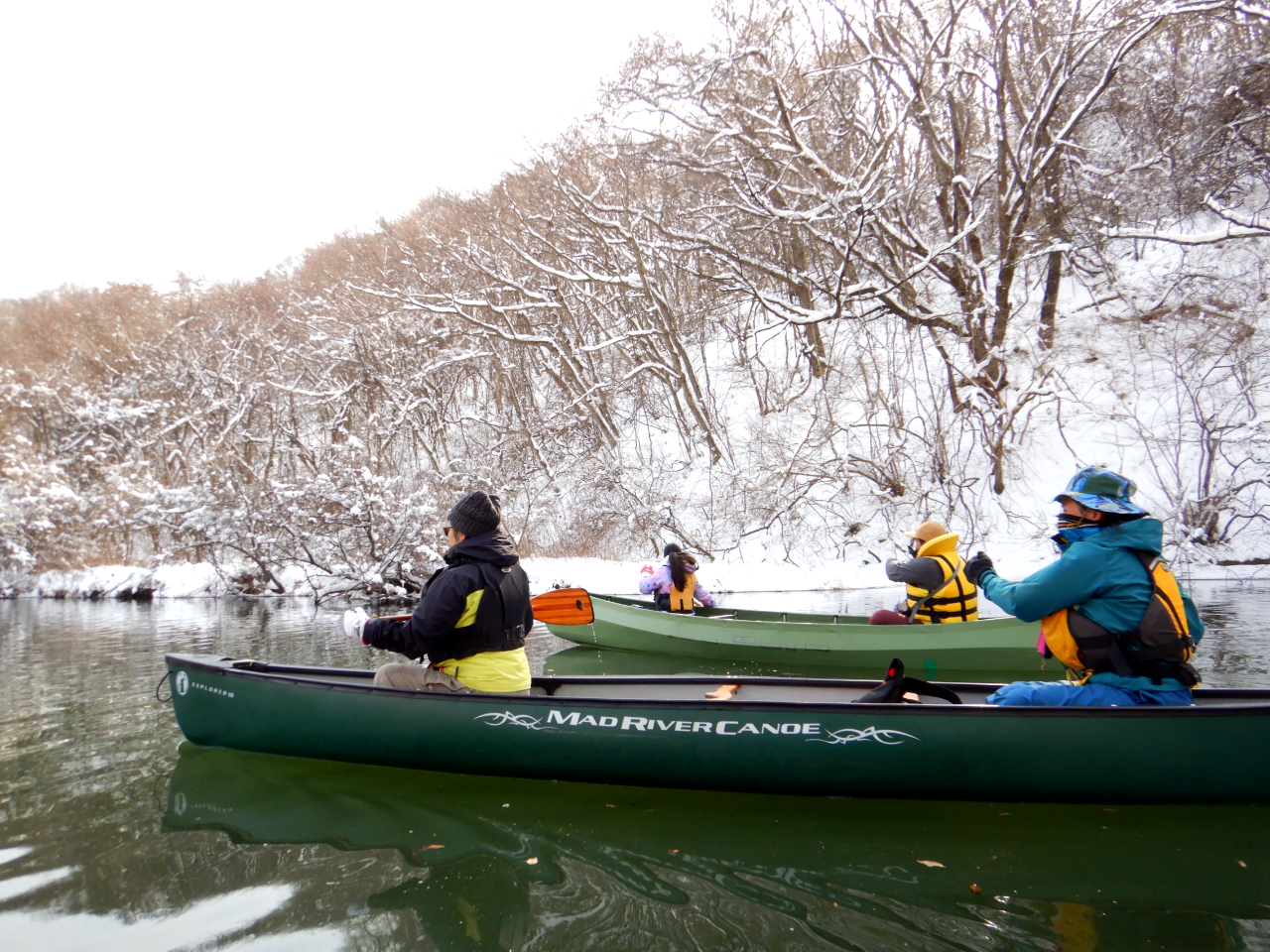 �J�i�f�B�A���J�k�[�ł������Y��ȕ��i�̒��A�����i�����`