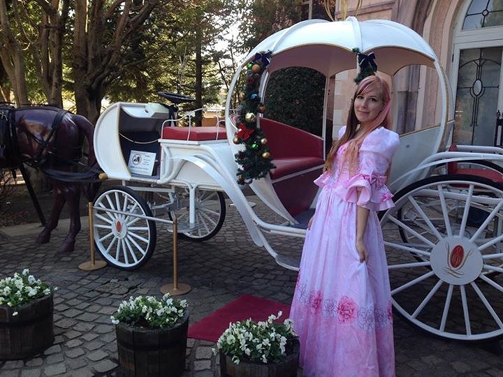 夢見るシンデレラ馬車など撮影スポットもたくさん