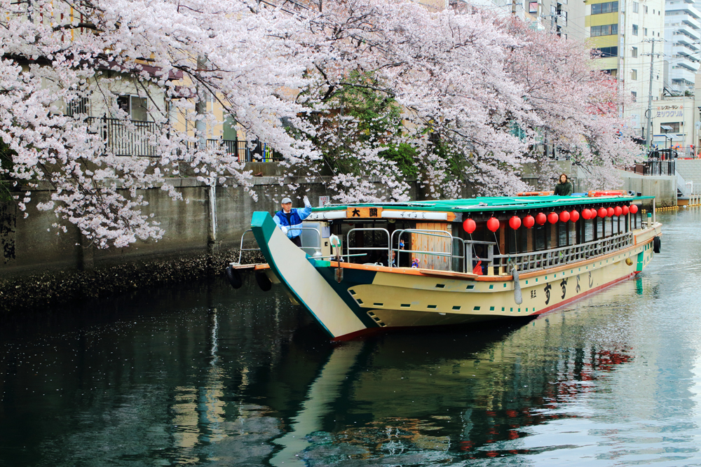 貸切コース 関脇プラン お食事 飲み放題 名様 2時間 大人 8 800円 お子様 4 950円 屋形船すずよし じゃらん遊び体験