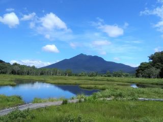 夏の尾瀬