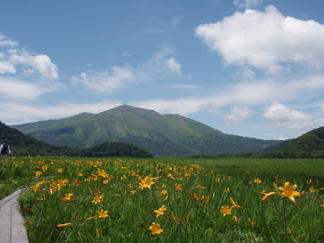 �Ă��ʂ�j�b�R�E�L�X�Q