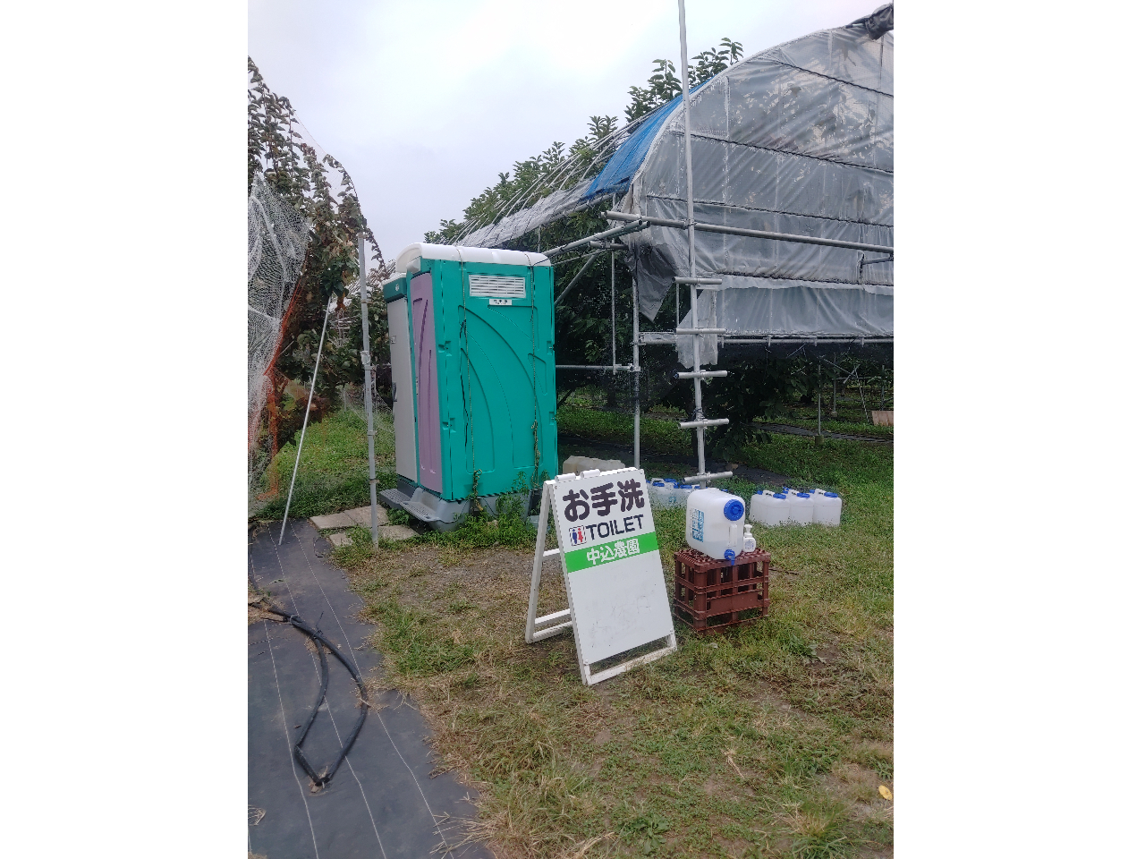 �d�C���������_�n�ɂ͐ݒu�o���܂���B���݃g�C���͔�펞�p�ł��B���݃g�C�����C�ɂȂ���ɂ��ẮA���������O�ɓ��̉w�Ȃǂōς܂��Ă��炨�z���������B