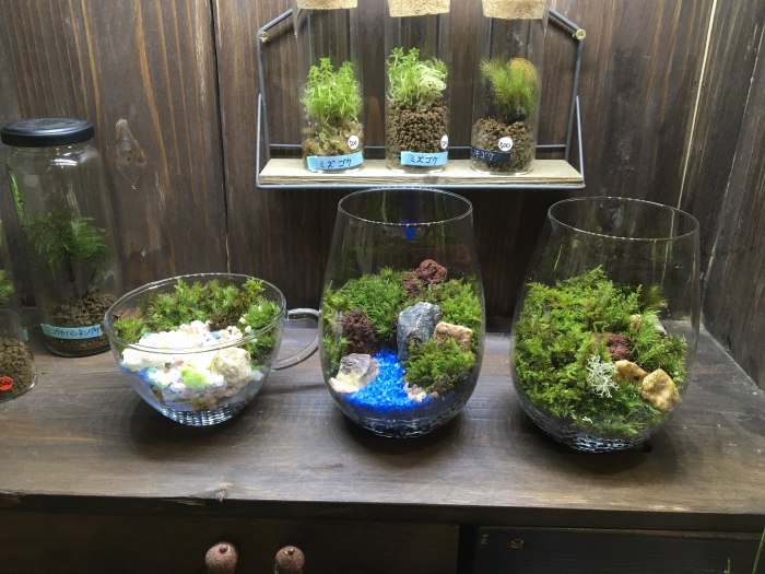 LED照明で照らすと幻想的に浮かびあがります!