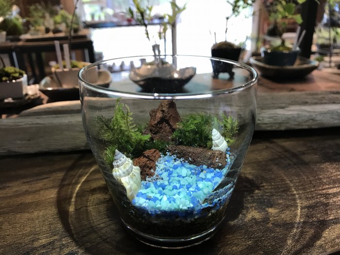 苔をライトアップ!