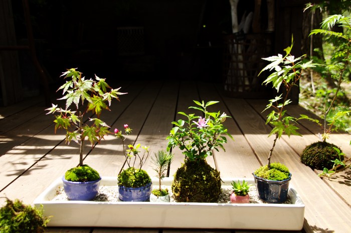 お客様の体験作品!