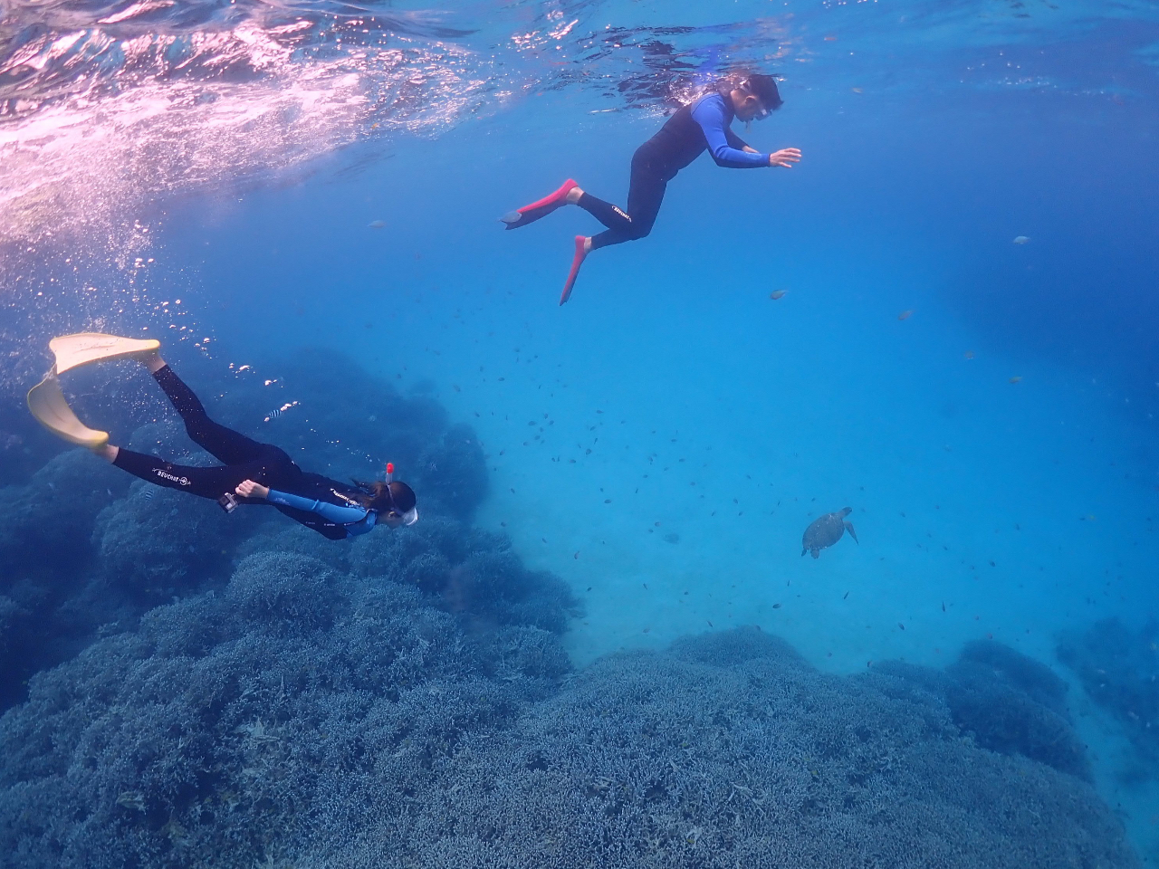 100p[Zgł͂܂񂪉^ǂE~KƑ邱ƂB