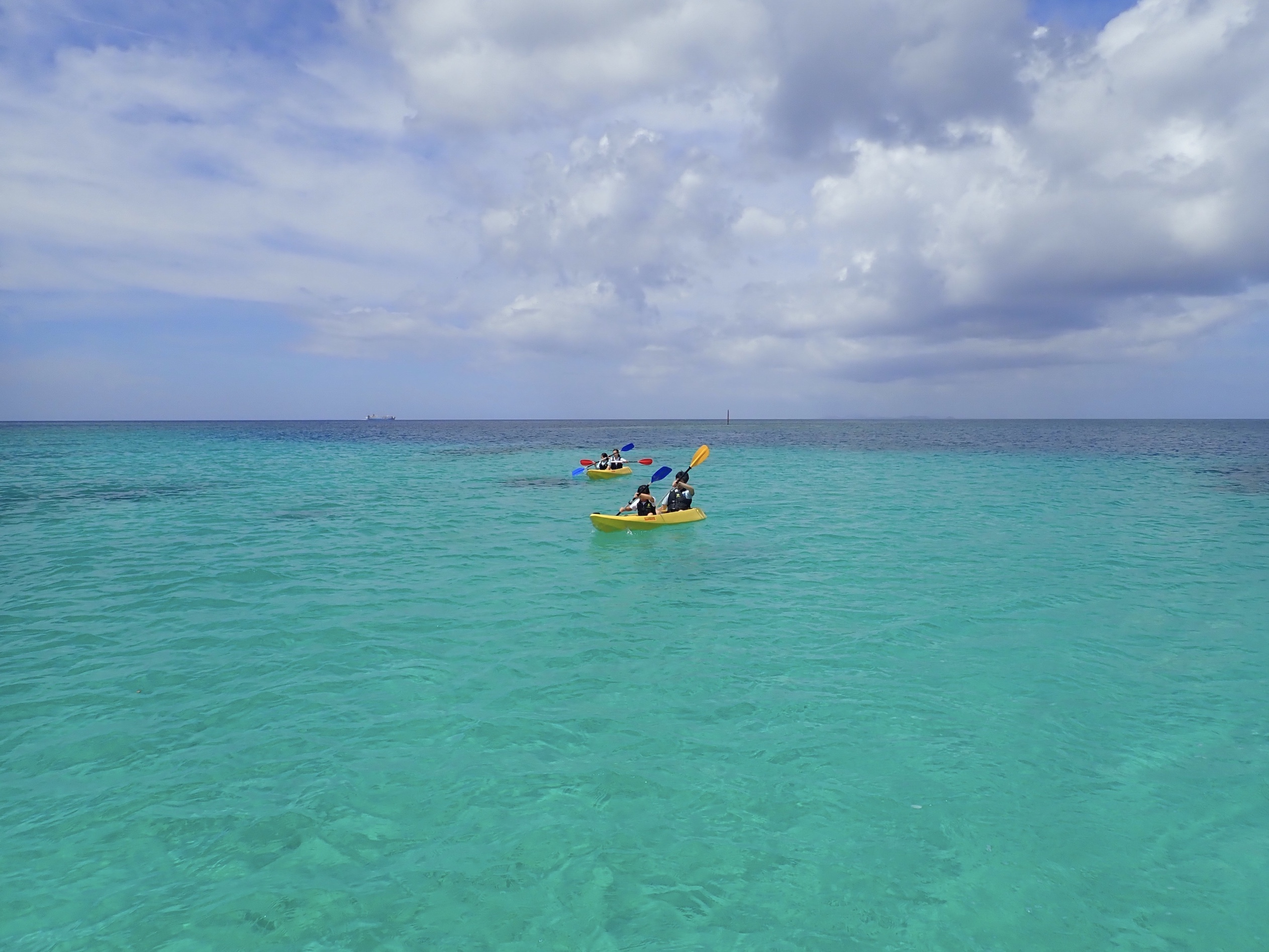 Of[V̍LTSʂ̊CJbNő`