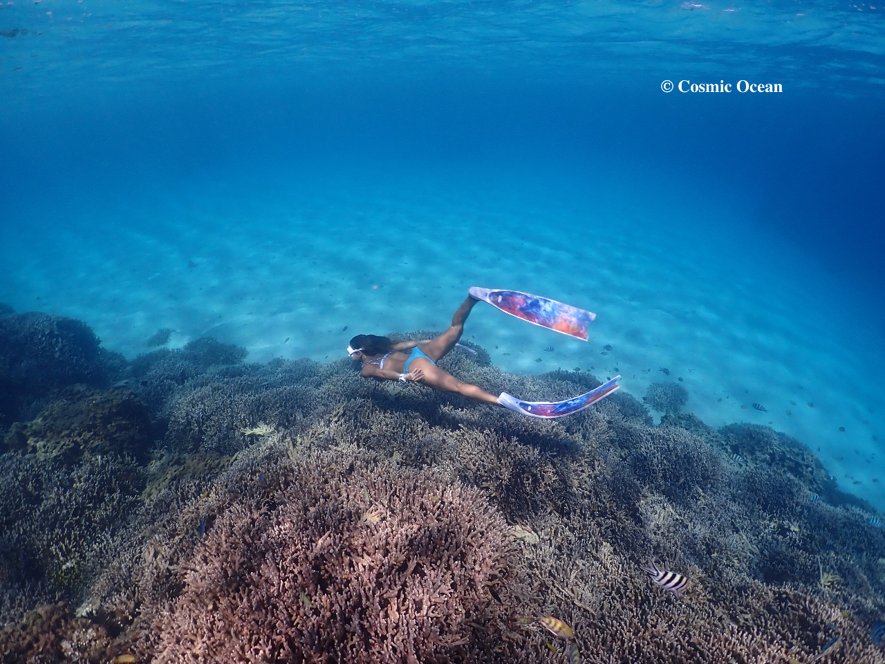 XL_CrO g̎gꂽށiOtBȂǁjłQ܂BOtB̃^͍sȂĂ܂̂ŗ\߂B