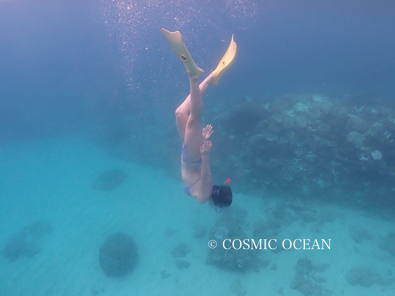 �o�i�i�{�[�g�Ń|�C���g������A���S�҂̕��͗���̃��N�`���[�����܂��Ď��H���K�B�o���҂̕��̓��b�X�����Ȃ��ėV�Ԏ��Ԃ��ő���ɁB