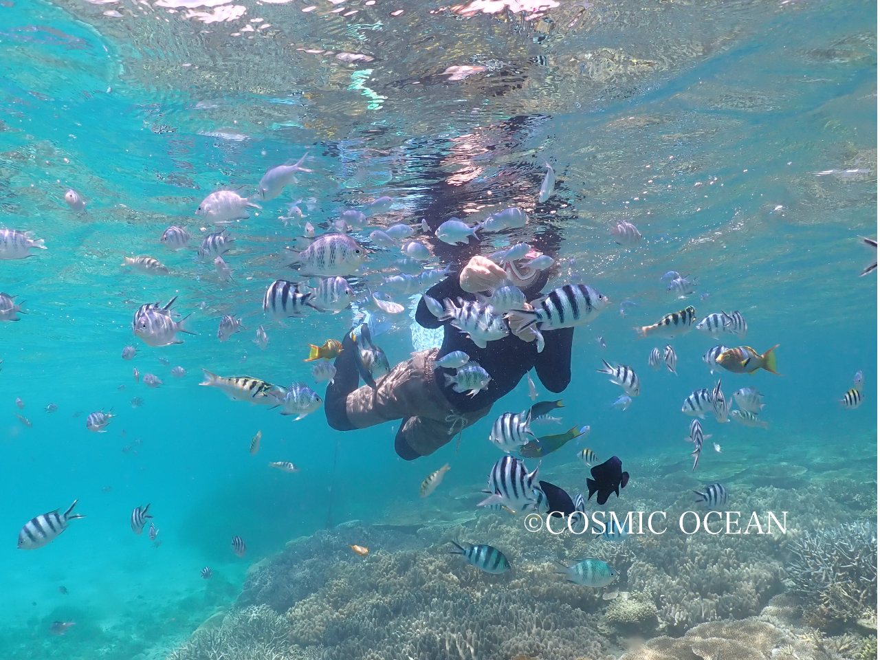 �o�i�i�{�[�g�ŉ��֌������ƁA�����͋����قǋ������̊y���B�肪�͂������ȋ����ŃT���S���j���M�ы������Ɉ͂܂�A���̂悤�Ȑ����U�����y���߂܂��B